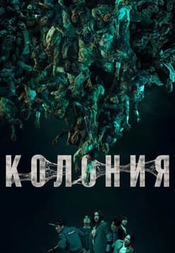 Колония